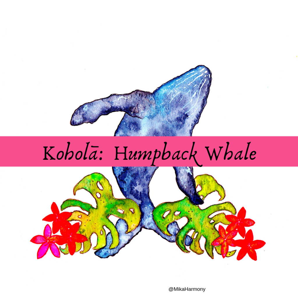 whale watching tips on Maui