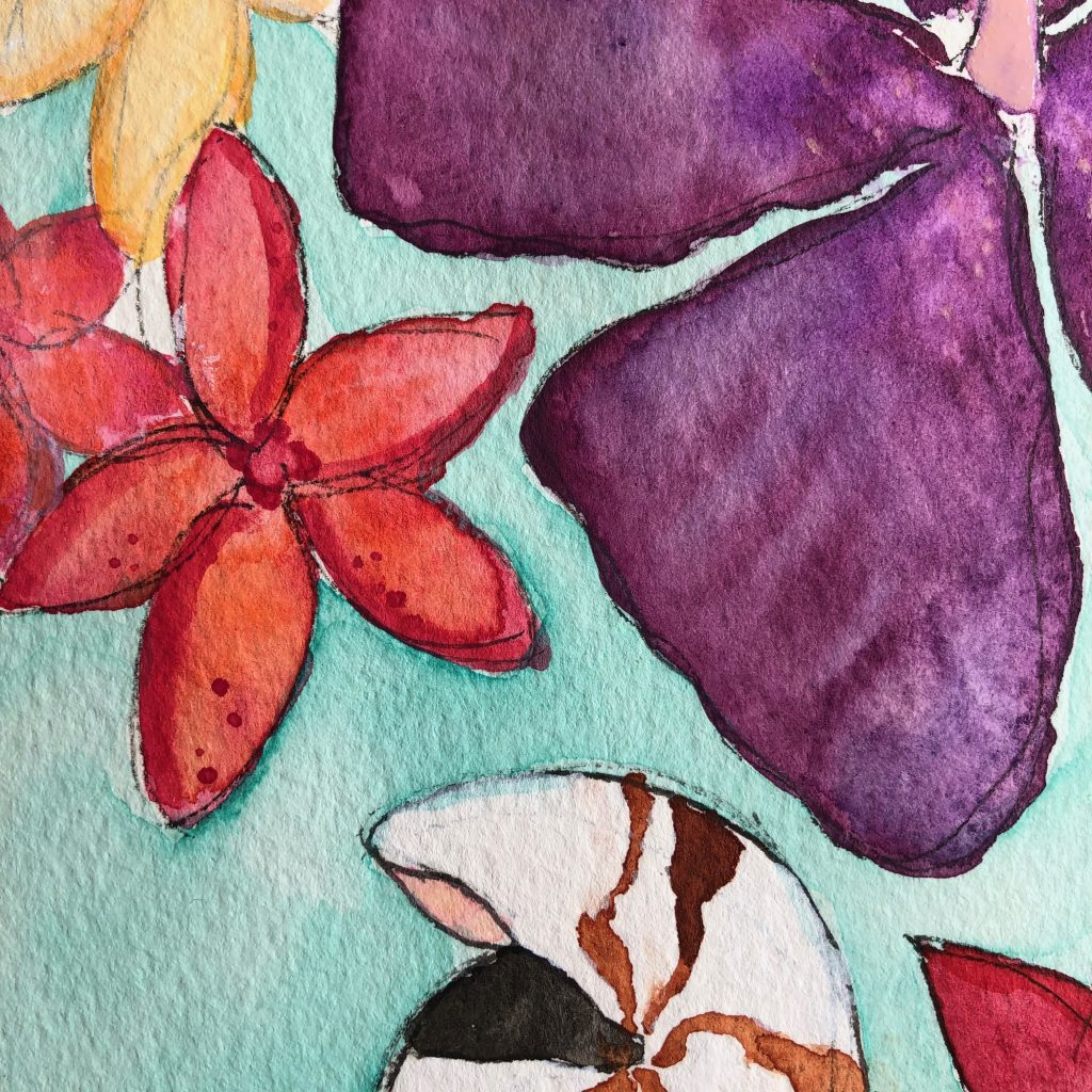 Seashell and Flower Watercolors