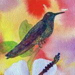 Ethereal Hummingbird